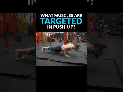 movementathlete's tweet photo. A NEW #YouTube #fitnessvideo is out: Push Your Limits: Discover the Muscles Activated During Push-Ups #shorts . Check it out here 👉https://t.co/j42zGixMwI  #calisthenics #bodyweighttraining  #fitness https://t.co/JJQnWU9V7A