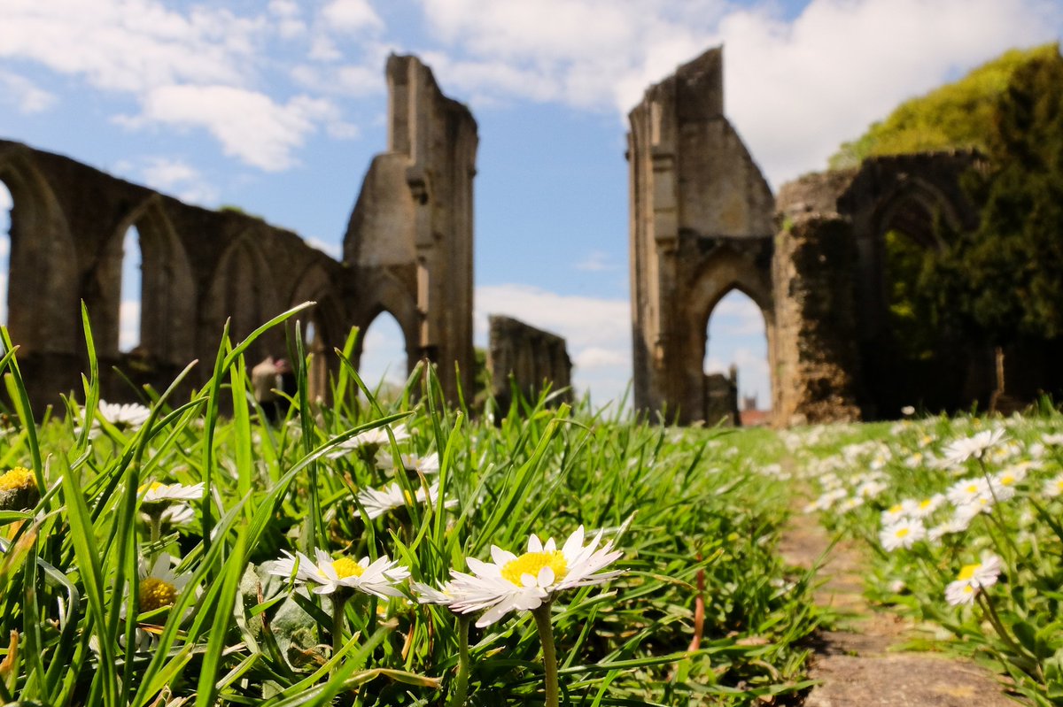 #glastonburyabbey #glastonbury