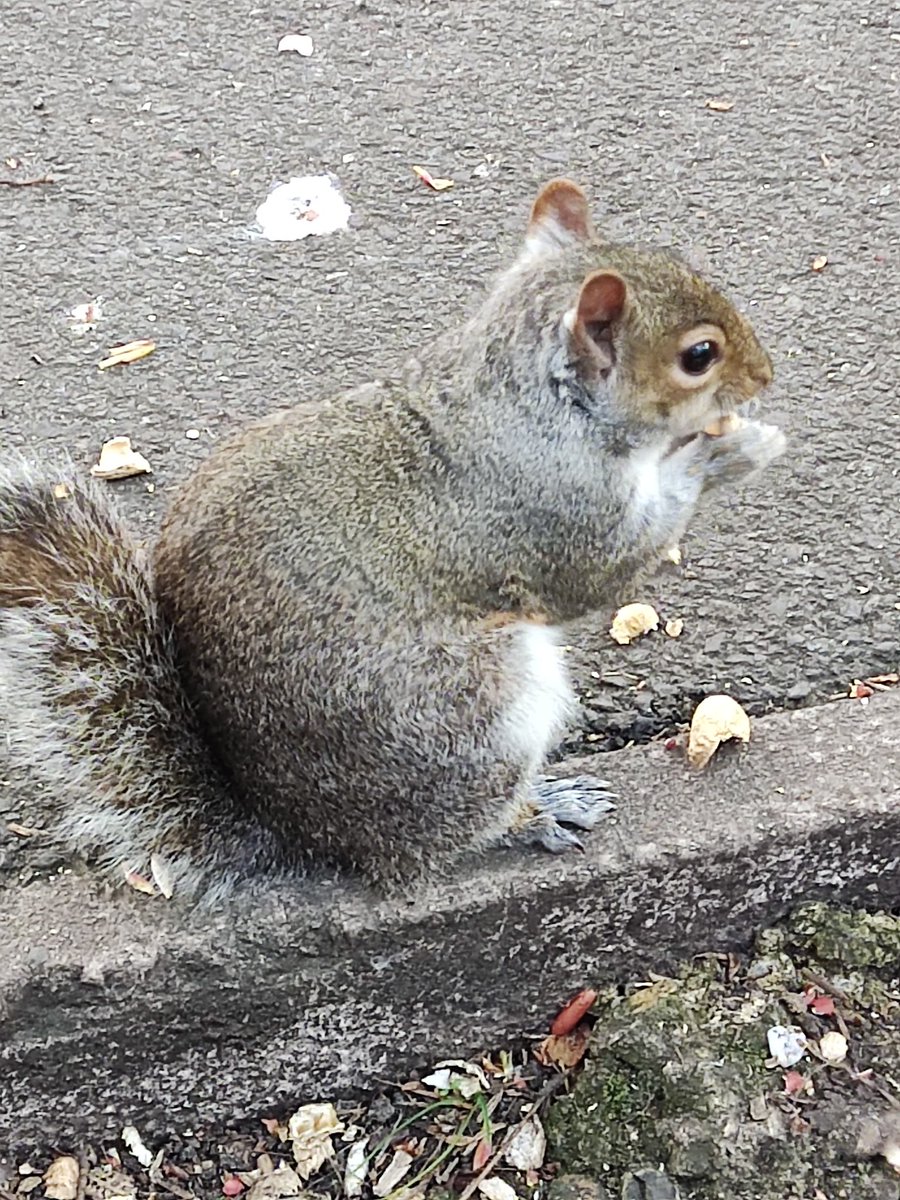 Lasts nut ofs the day. Night night alls. Sees yous tomorrows ❤️.