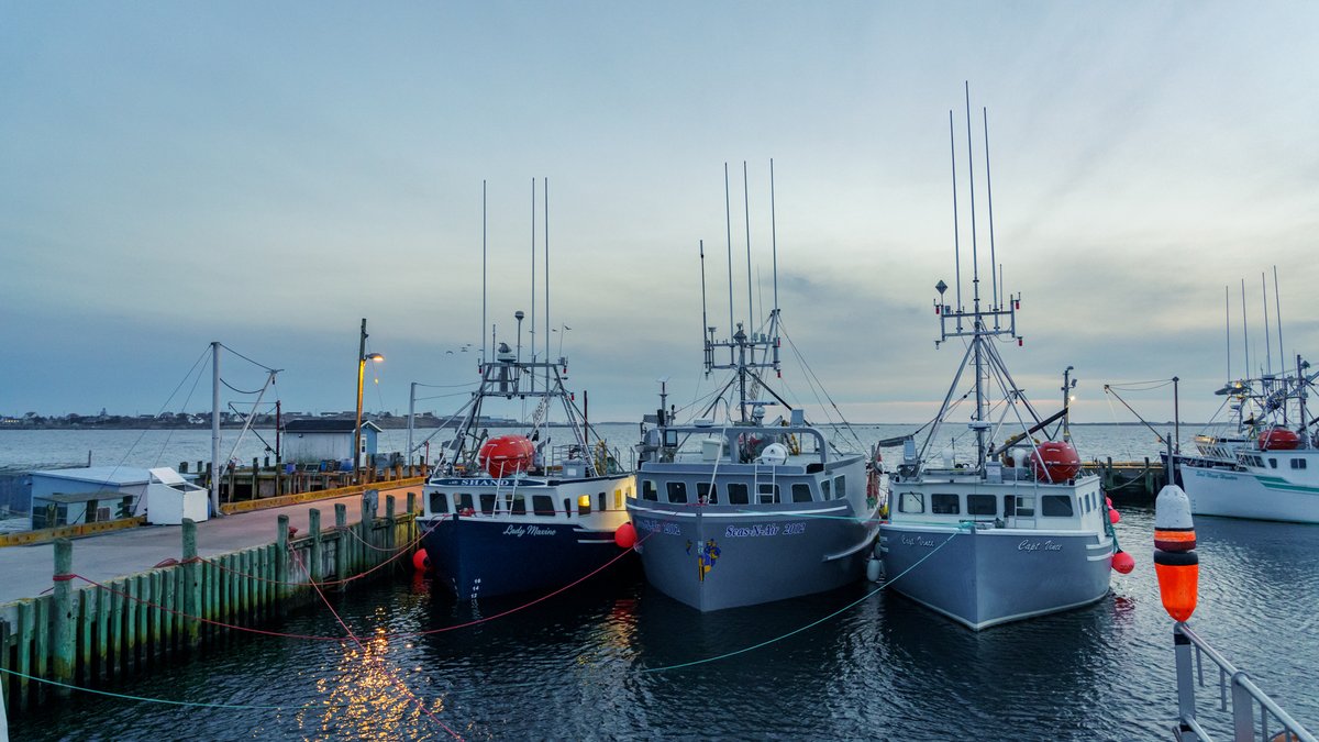 Welcome to Nova Scotia.  Nova Scotia Canada lobster boats at the wharf on Cape Island.  Clarks Harbour wharf February 16 2023-97  #fishing #imagesoffishing #commercialfishing #stormhour #photohour #stockimages