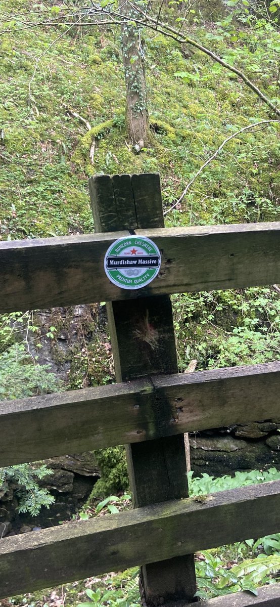 Boss day out at Ingleton waterfall, not sure how these got there 🙈🙈 <a href="/MurdishawM/">Murdishaw Massive</a> 😂😂