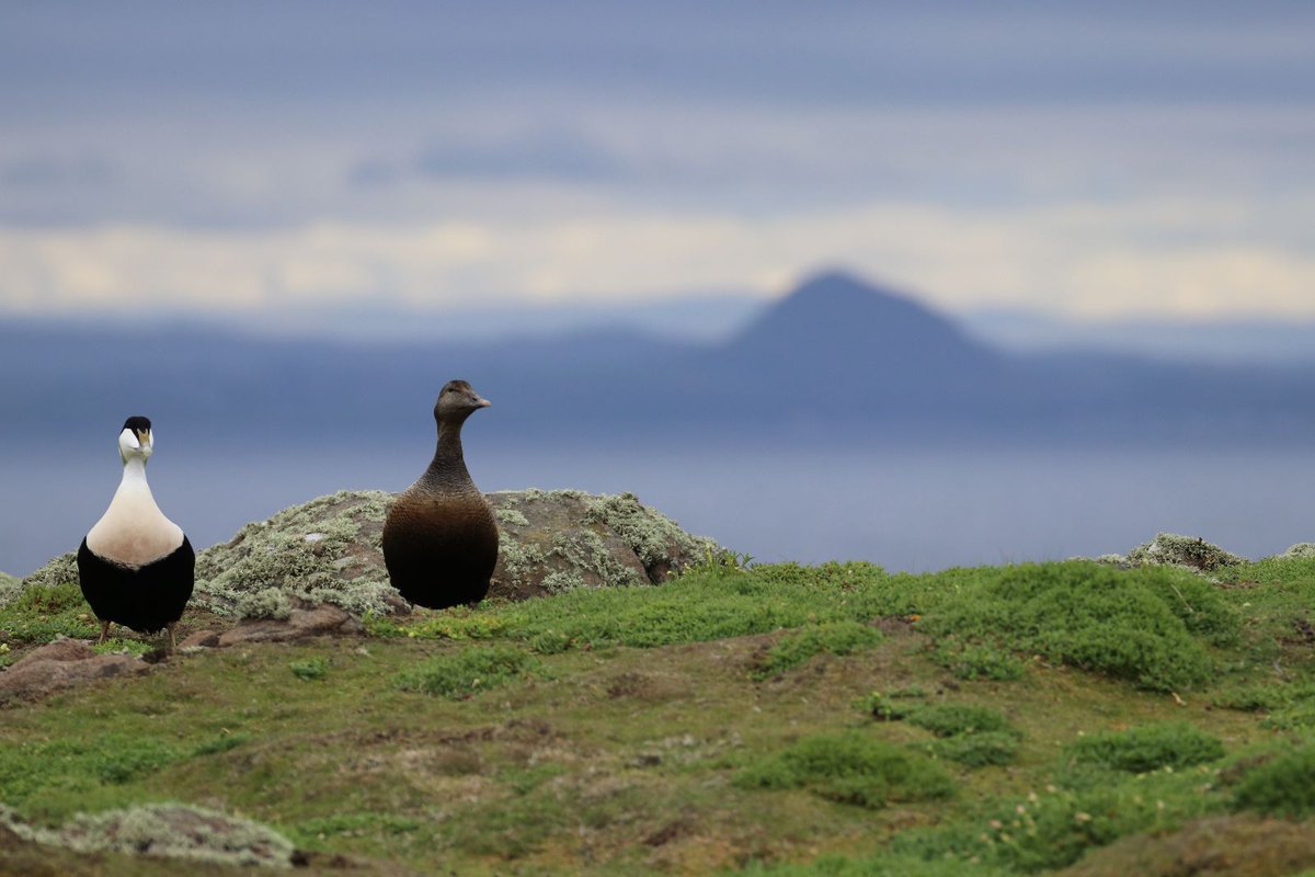 James Robbins tweet media