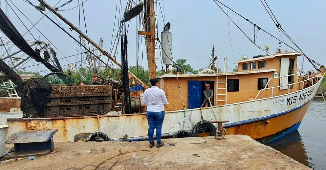 Delegados de Puerto El Triunfo reciben buques de pesca de la flota industrial en apoyo al <a href="/AgriculturaSV/">Ministerio de Agricultura y Ganadería 🇸🇻</a> Cendepesca por la veda de camarón marino que inicia el 2 de Mayo a las 0:00 horas.

Este es un apoyo interinstitucional a fin de velar que las normativas sean cumplidas.