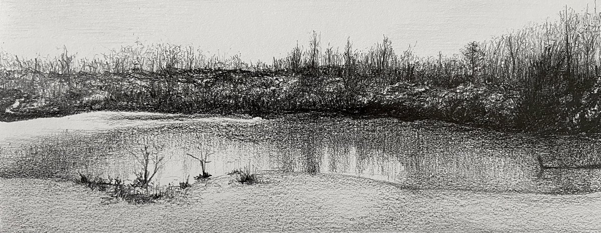 reijnoudt's tweet photo. Finally finished this #drawing https://t.co/spzgjTk3Wo