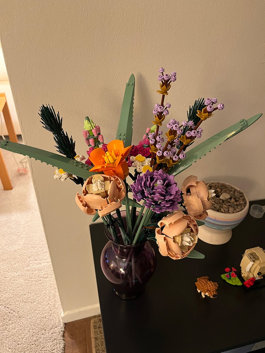 Dr. Dawn Wright + @deepseadawn.bsky.social 🇺🇦 tweet media