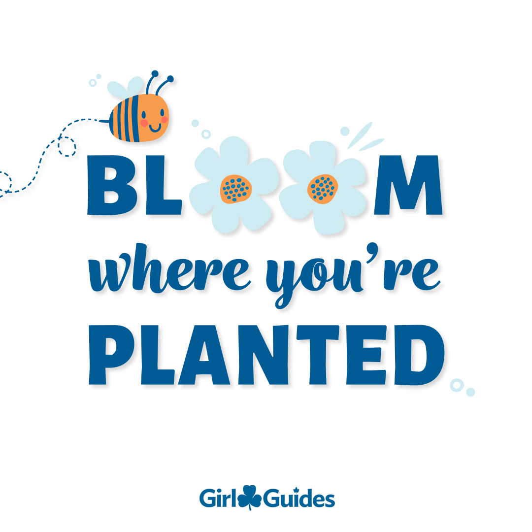 Girl Guides of Canada tweet media