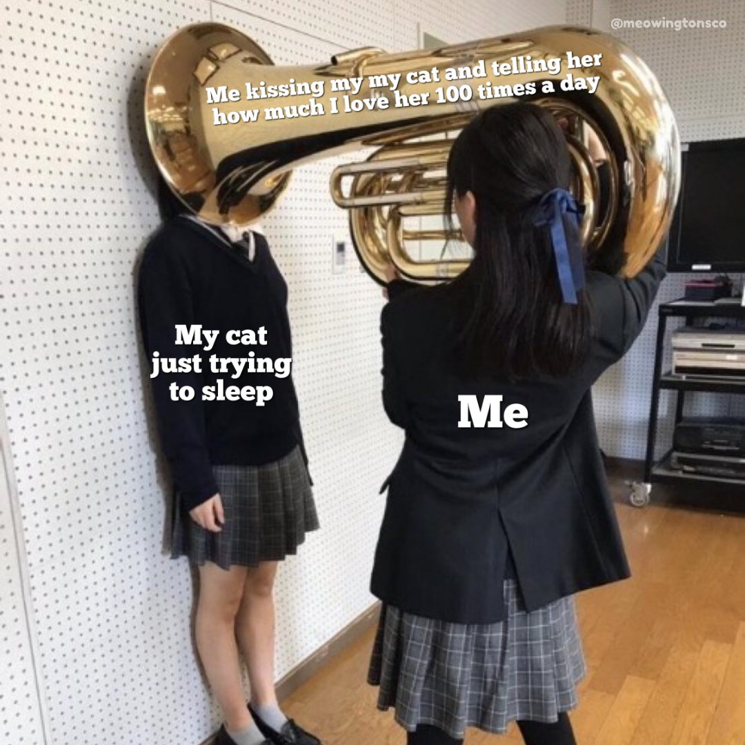 WholesomeMemes (@wholesomememe) on Twitter photo 