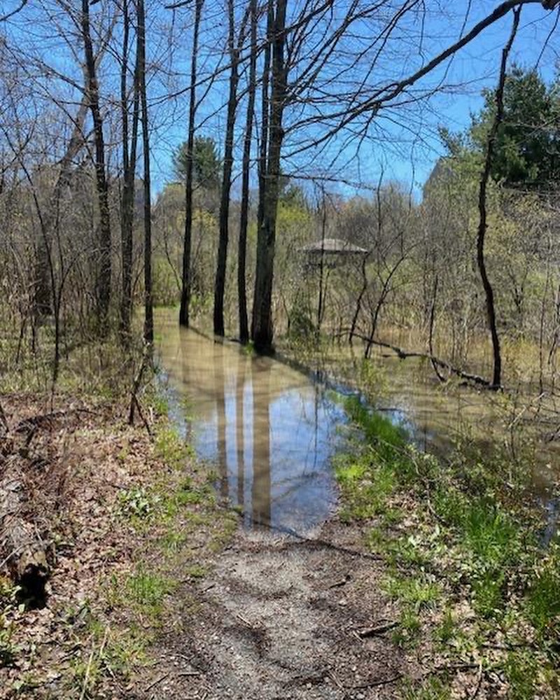 portlandtrails's tweet photo. ⚠️ There is a significant amount of flooding on the Stroudwater Trail! Sections of the trail will be impassable until the river levels return to normal. Please avoid using this trail until further notice. We will update you when it's passable again! https://t.co/nFV8LLmM7V