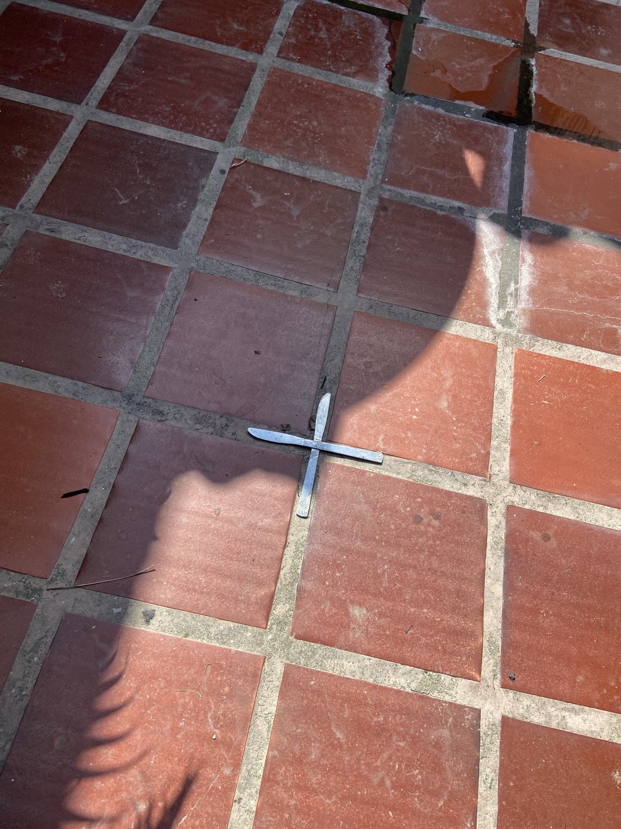 cardenass_ss's tweet photo. Tenia como dos días que no iba al patio por el calor hp que esta haciendo, voy y lo primero que veo es esto. Pido perdón otra vez, no me acordaba que estaba ahí, no fue mi intención. https://t.co/qY8q3O9xJy
