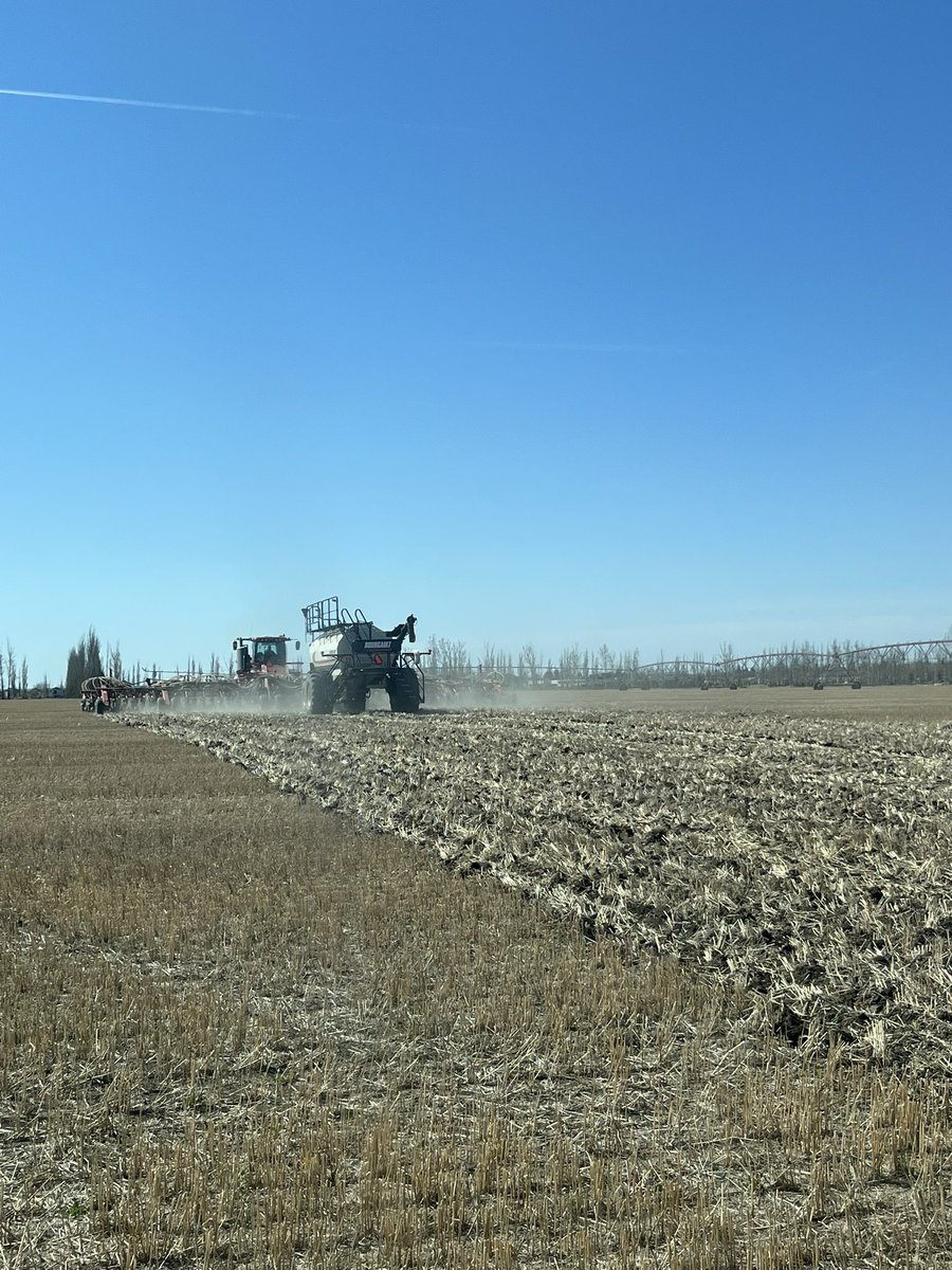 Ethan Klassen tweet media