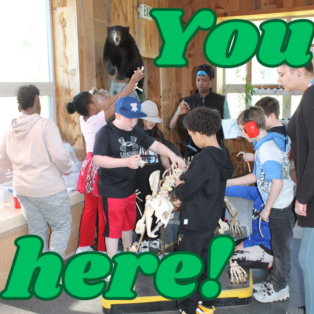 peec_tweet's tweet photo. Want to get outdoors for the summer with a fun job? This could be you!  PEEC is seeking Environmental Education Interns and Camp Counselors. Interested? We'll call you: https://t.co/MUL2Tl0cbF https://t.co/QZ5WFUblq1