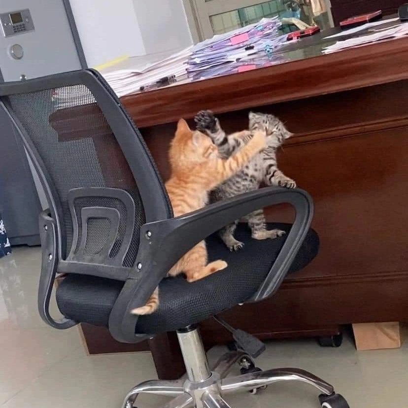 place where car shouldnt be (@carshouldnt) on Twitter photo 