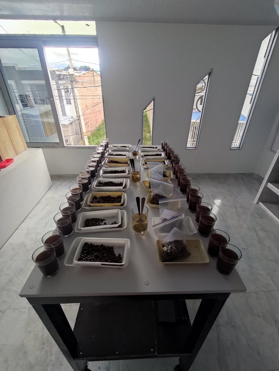 Felipe Andres (@andresfelipemc4) on Twitter photo Haciendo el check-in de lo que nos vamos a llevar al <a href="/ProducerRoaster/">Producer & Roaster Forum</a> .
Pero si eso es en septiembre, por qué ya ? Porque estamos haciendo una "eliminatoria" para llevar los mejores cafecitos de la región 😍 <a href="/LiliianaM/">Liliana Muñoz</a> Haciendo el check-in de lo que nos vamos a llevar al <a href="/ProducerRoaster/">Producer & Roaster Forum</a> .
Pero si eso es en septiembre, por qué ya ? Porque estamos haciendo una "eliminatoria" para llevar los mejores cafecitos de la región 😍 <a href="/LiliianaM/">Liliana Muñoz</a>
