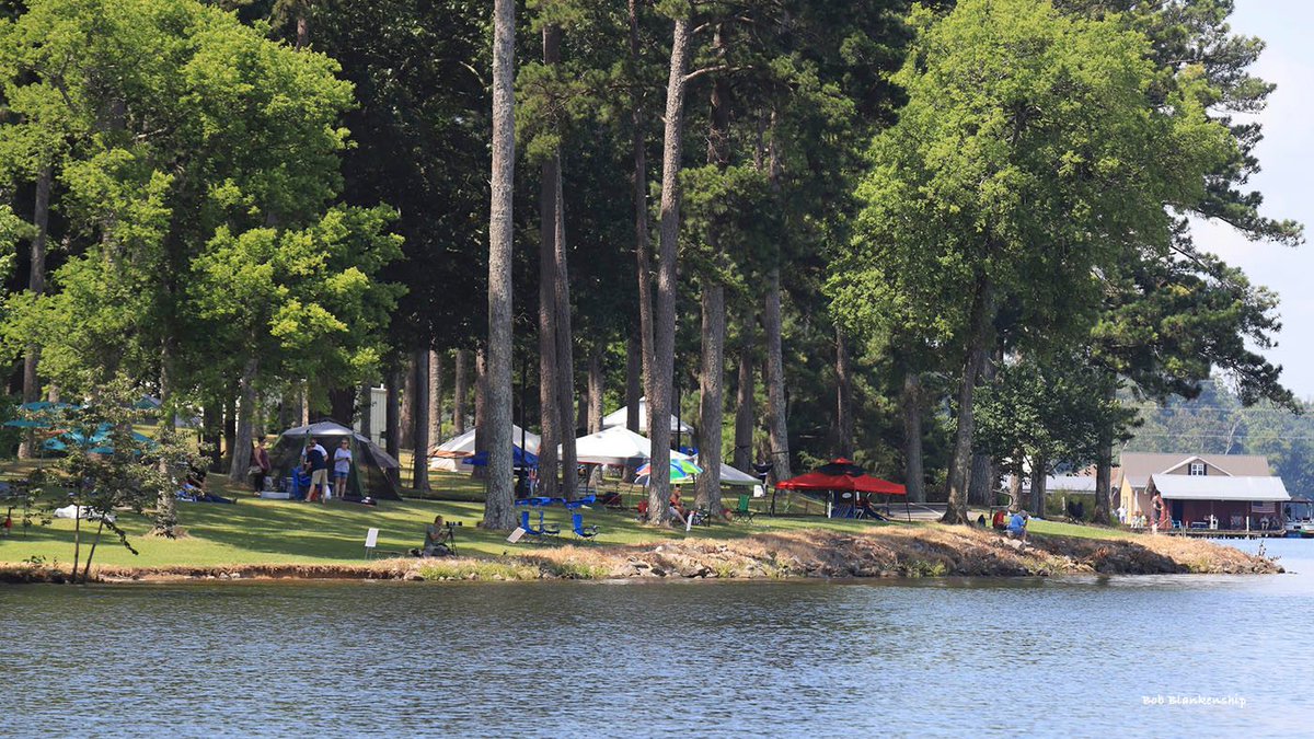 We only have a few TENT SPACES left! If you want one, grab 'em up quick! Tent spaces are a great way to watch the race. You have your own 15x15 spot within the venue, and you can bring a pop-up tent to watch the race under. 

For more info: guntersvillelakehydrofest.com