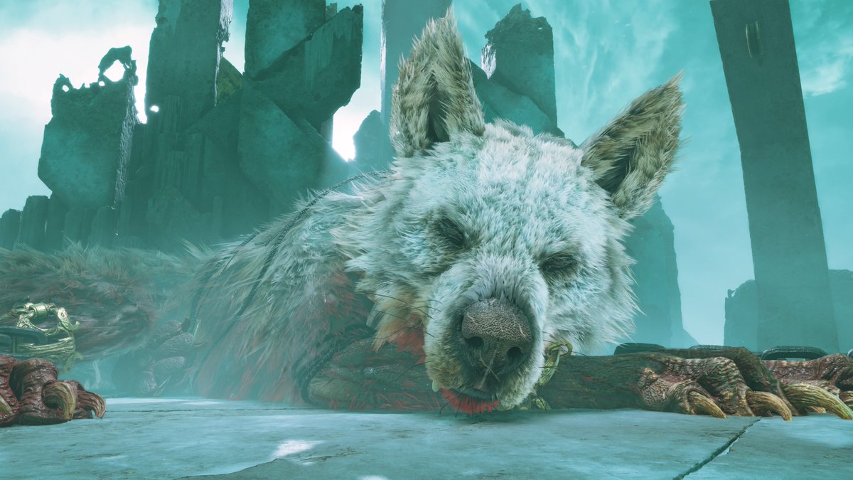 Großer Wuff.
#PS5Share, #GodofWarRagnarök