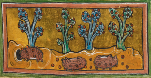 A few years ago, an amazing animation was created based on one of our medieval bestiary manuscripts

Very apt for #HedgehogWeek: how to be a hedgehog

blogs.bl.uk/digitisedmanus…