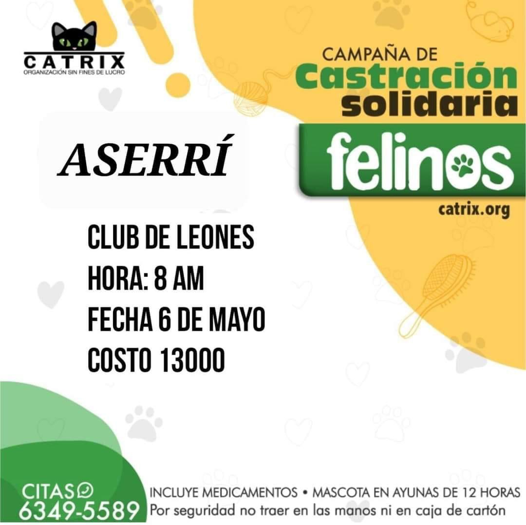 Castrar es un acto de amor y responsabilidad!! Gracias por el rt 🙌🏼