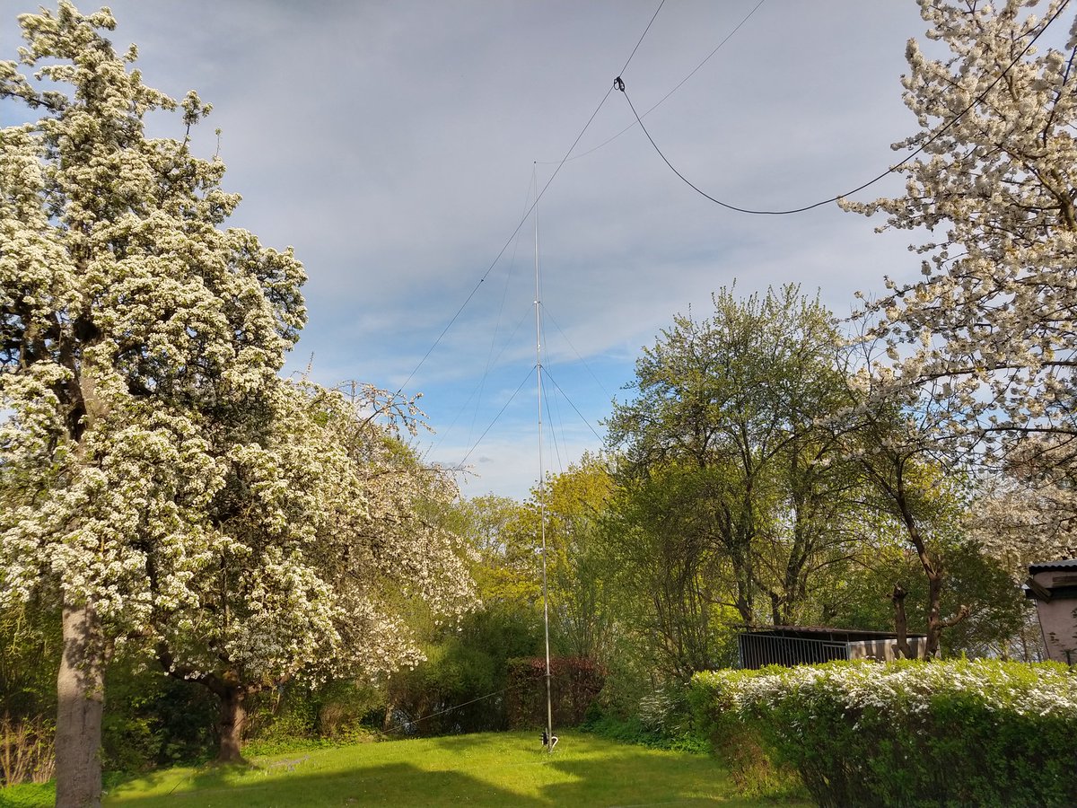 DL3KUD's tweet photo. A lot of trees in my garden - nevertheless a lot of DX possible! DX is - if you believe in it! https://t.co/7Muanp6wLd