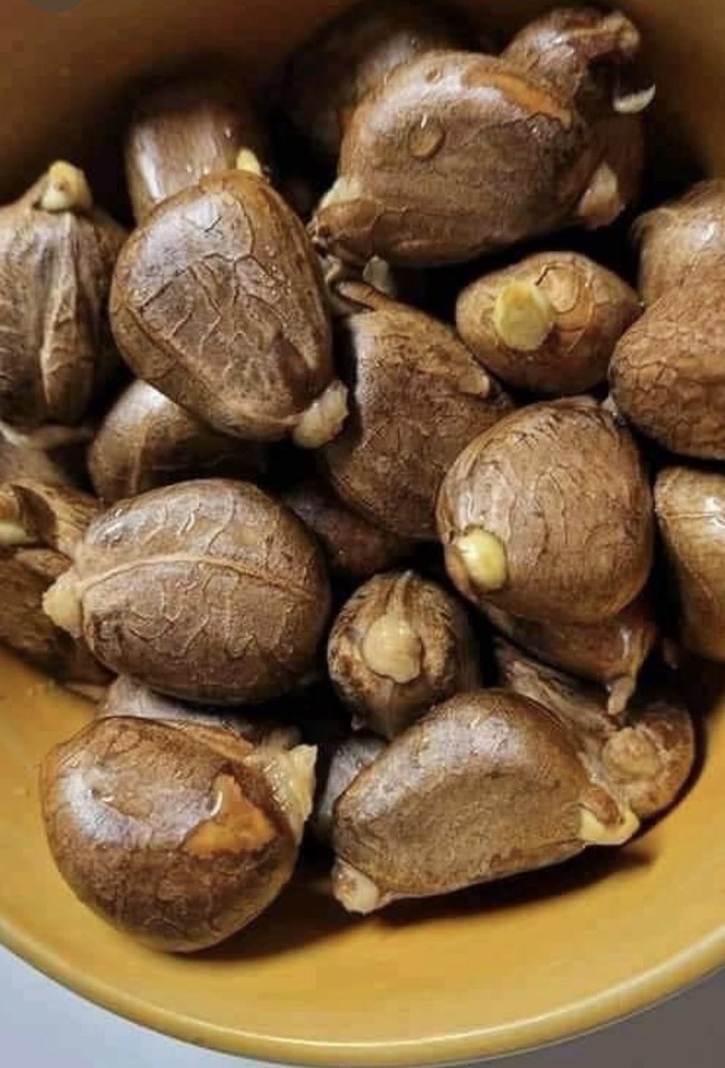 ivonnelago's tweet photo. Alguien sabe dónde venden este producto. Lo comí hasta adolescente (o sea hace uuuuuuuu) y tenía un rico sabor. https://t.co/IrOQ8w4NK9