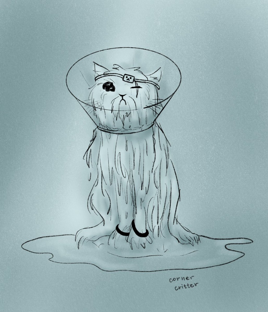 hermit a day may (as cats!)
first up, etho as a white persian

#hermitaday #ethofanart #ethoslabfanart