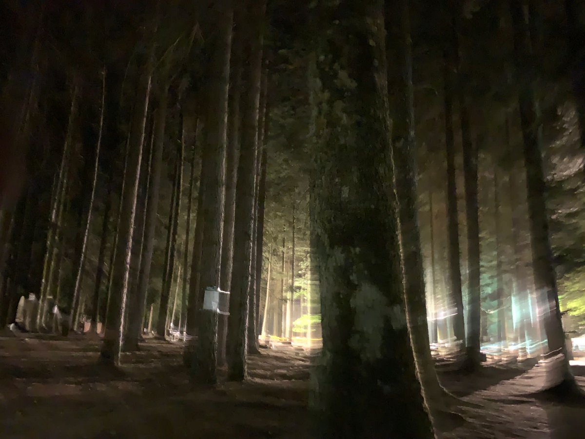 De #aarde is 4,6 miljard jaar oud.
Laten we dat vereenvoudigen naar 46 jaar. Wij zijn hier ‘al’ 4 uur. Sindsdien hebben we meer dan een derde van alle #bossen op aarde vernietigd.
De helft hiervan gebeurde in de laatste minuut.
#Forests #Bomen #Prestatie