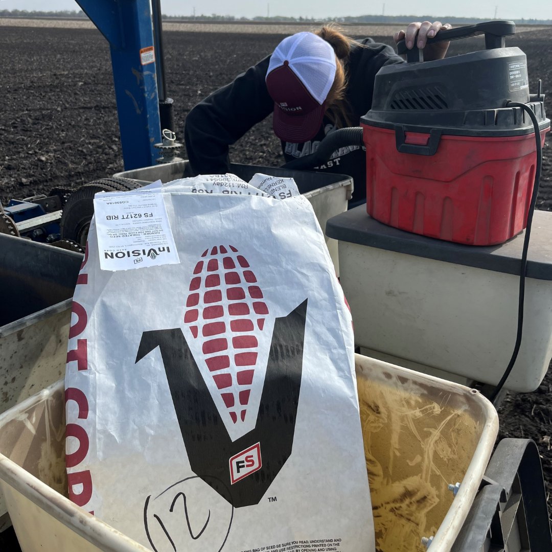 InVISION_HiSOY's tweet image. 🌽🌽🌽#Plant23 #FSInVISION