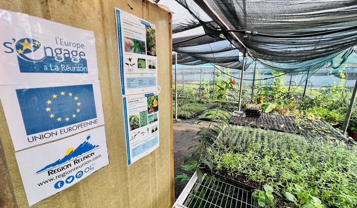 StephaneBIJOUX's tweet photo. 🪴💊Extraire les molécules des plantes tropicales pour fabriquer des médicaments.
A La Réunion, avec la Commissaire🇪🇺 @ElisaFerreiraEC nous valorisons le projet scientifique de recherches PatZerbaz soutenu par l’Europe. https://t.co/1pKKlFewlY
