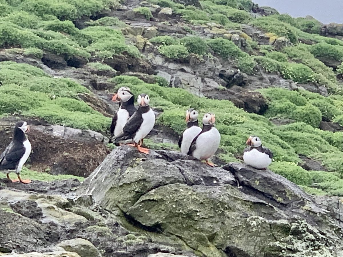 Glenn Moore tweet media