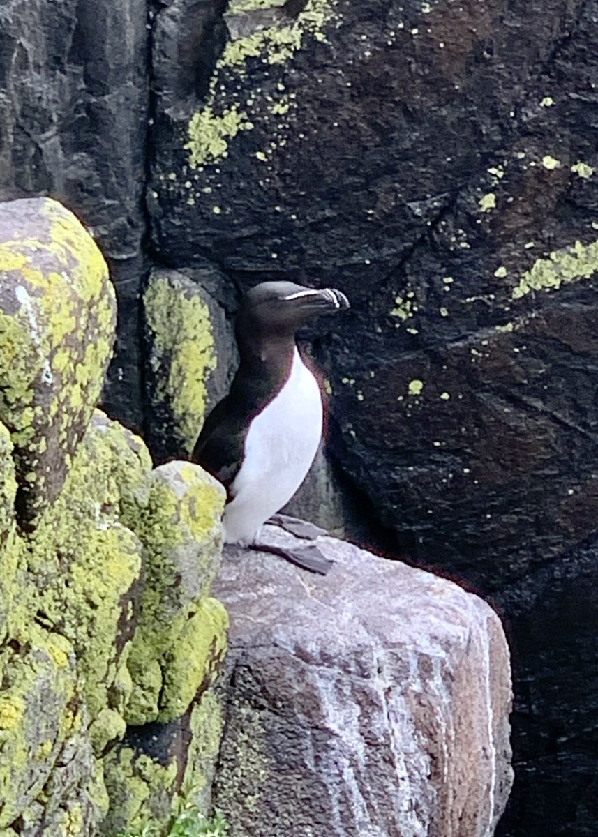 Glenn Moore tweet media