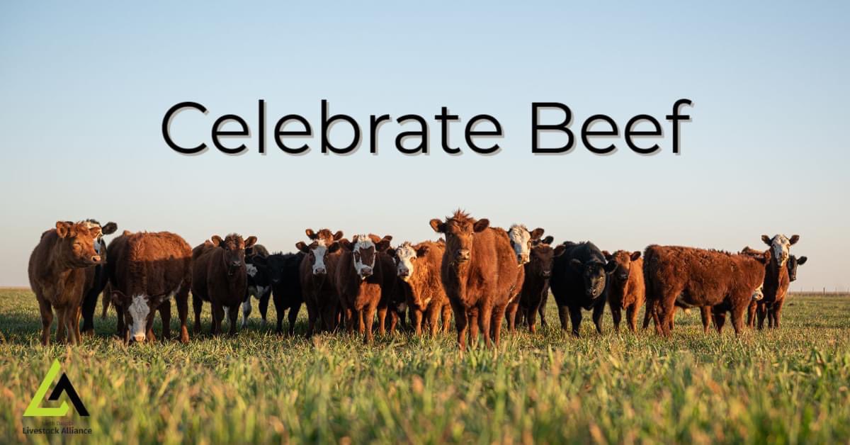 With May comes #BeefMonth!