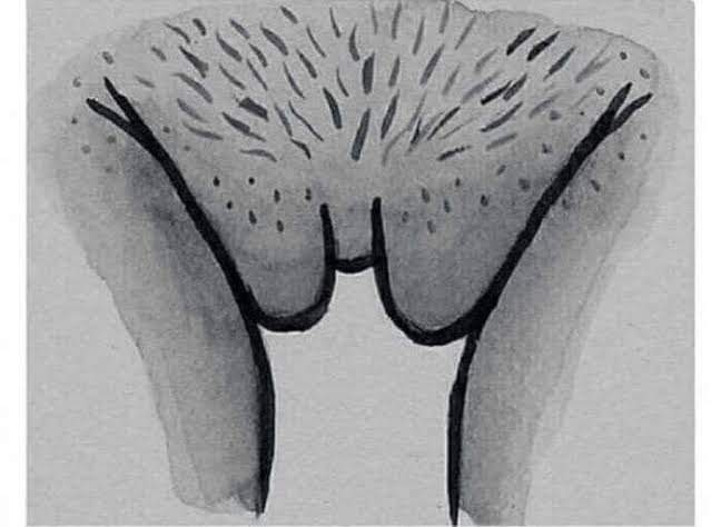 BoobsBrasil's tweet photo. @Queenheid1 @Nataliafreex1 Are you Batman? https://t.co/H8zYlAelU6