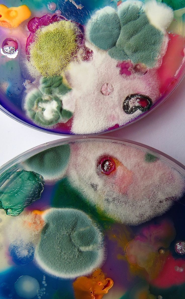 nimongii's tweet photo. @GuyNorcal Something psychedelic, but at the same time medical or scientific 👁️
It turns out that my training in medical school affects my creativity 😳 https://t.co/Xib1wWNJd9