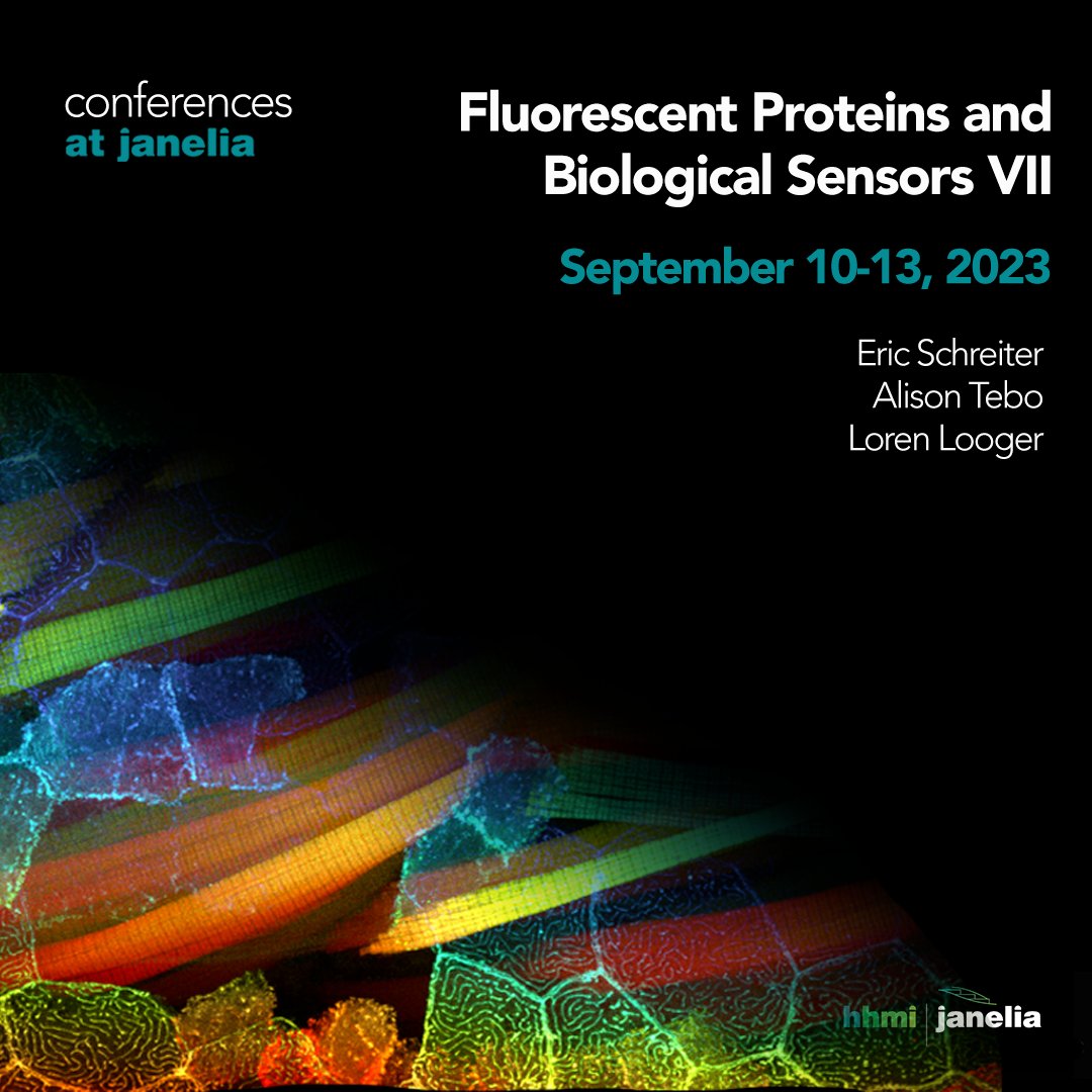 HHMI | Janelia (@hhmijanelia) on Twitter photo 📢 Applications are now open for the seventh installment of our Fluorescent Proteins and Biological Sensors conference, showcasing the development of cutting-edge tools & technology for biological imaging.
Learn more and apply by June 9 ➡️janelia.org/you-janelia/co…
<a href="/janeliaconf/">Janelia Conferences</a> 📢 Applications are now open for the seventh installment of our Fluorescent Proteins and Biological Sensors conference, showcasing the development of cutting-edge tools & technology for biological imaging.
Learn more and apply by June 9 ➡️janelia.org/you-janelia/co…
<a href="/janeliaconf/">Janelia Conferences</a>