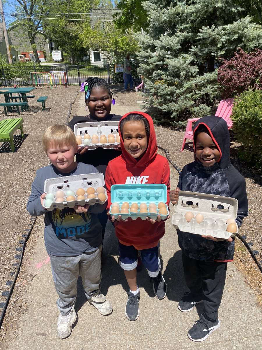 We hit the egg jackpot today!! 40 eggs from the weekend. #BentonBold #CPSBest #ChickenTenders