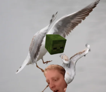 ph1lgull's tweet photo. #PHILGULL LOOK OUT!! @Ph1LzA https://t.co/52q4YLSRa7
