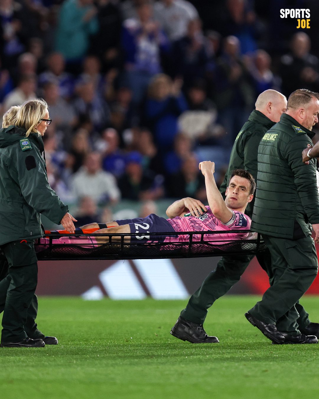 Coleman stretcher online