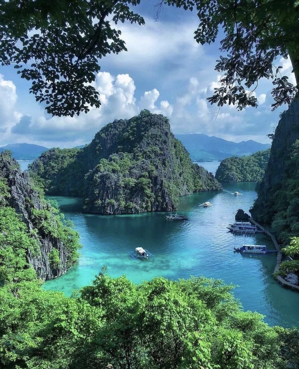 TheEternalTrip's tweet photo. Philippines 🍃 https://t.co/W0G5qbjaCg