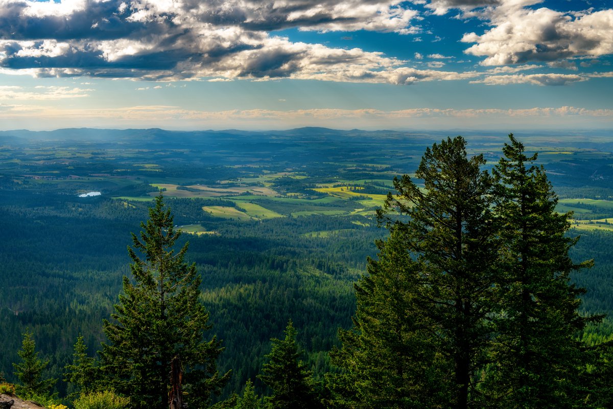 logs_big's tweet photo. Big Cabin is committed to sourcing and manufacturing with practices which will preserve our treasured forests for future generations to come.
https://t.co/R9fV6jP4E9
#loghome #loghomes #loghomelife #loghomeliving #cabins #cabin #bigcabin #sustainableliving https://t.co/nXxpRaYVx2