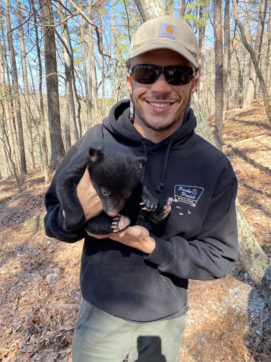 BlakeCoulter1's tweet photo. Once in a lifetime opportunity! Shout out to @ARGameandFish for all of the outstanding conservation taking place in the natural state.👨🏽‍🔬🐻 https://t.co/RYbmbvvcyn