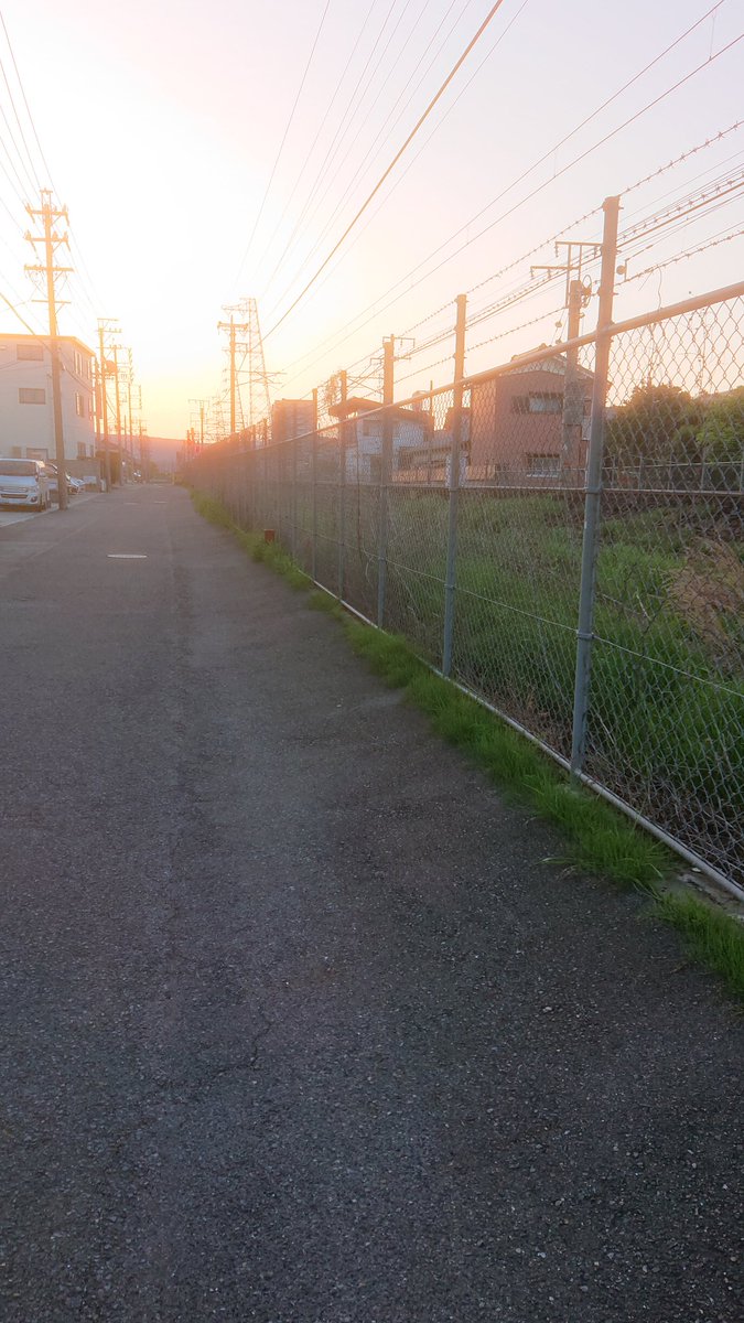 senalovemaid's tweet photo. 朝の時間の線路と朝日良きやね。 https://t.co/RHGytHWpRO