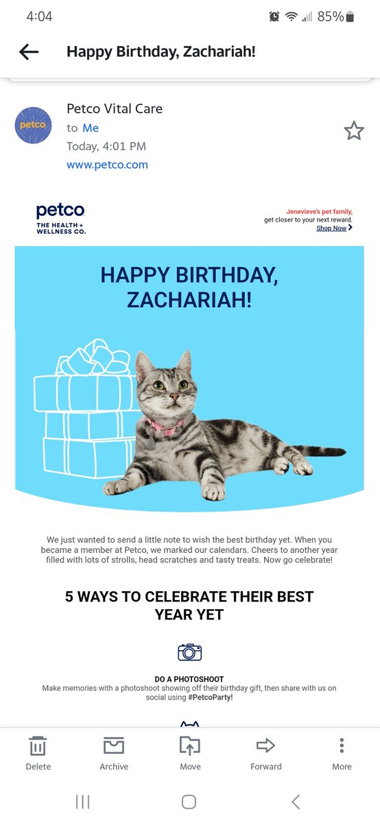 jennec23's tweet photo. Thanks @Petco for reminding me that today is the birthday of my cat who passed away 4 years ago https://t.co/R5g29BEBhB