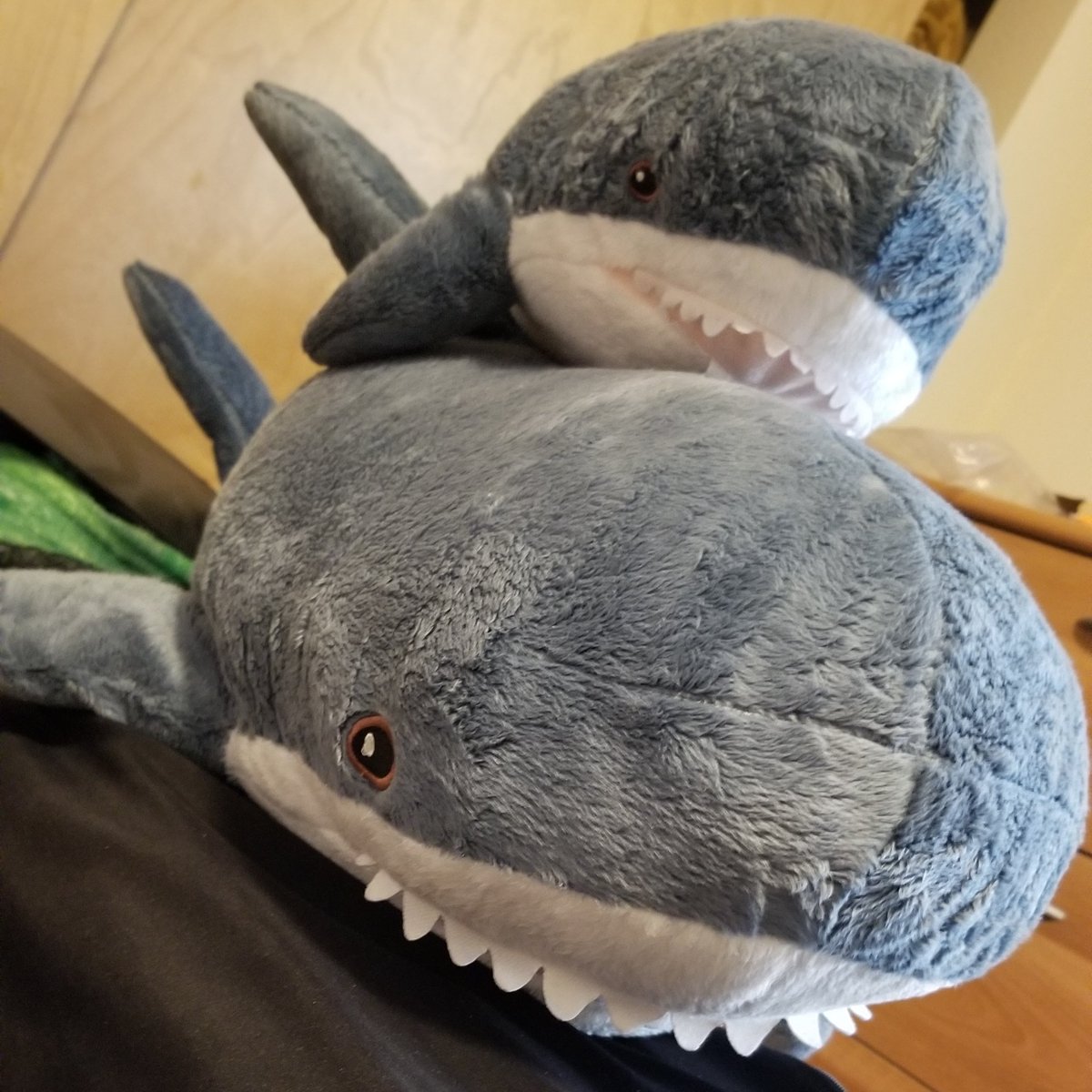 KibiByte1024's tweet photo. @moosePK don't talk to me or my kid ever again https://t.co/b7a8TVB3VY