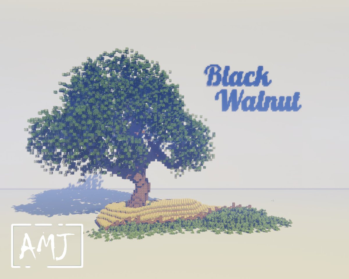 Fdeeees's tweet photo. Making a new species of tree every day for 30 days
(10/30): Black Walnut
#Minecraft #MinecraftTrees #CustomTrees https://t.co/w9zKlNaHHd