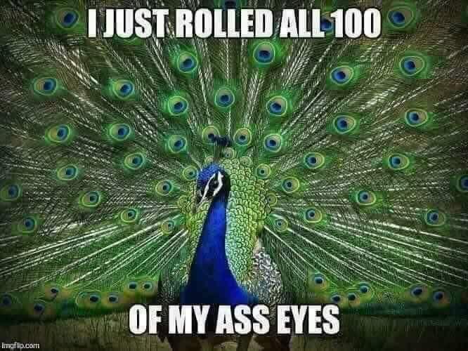 🙄🙄🙄