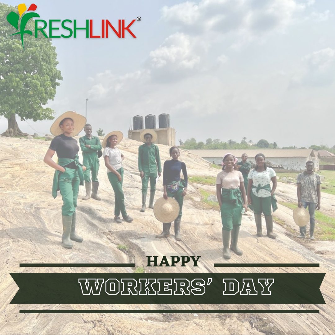 ng_poultryplus's tweet photo. Here’s to every worker around the world! Thank you for making the world a better place. May your hardwork bring you the life you deserve. Happy Workers’ Day. 
#mayday2023
#freshlink https://t.co/pXPUpsNjv1