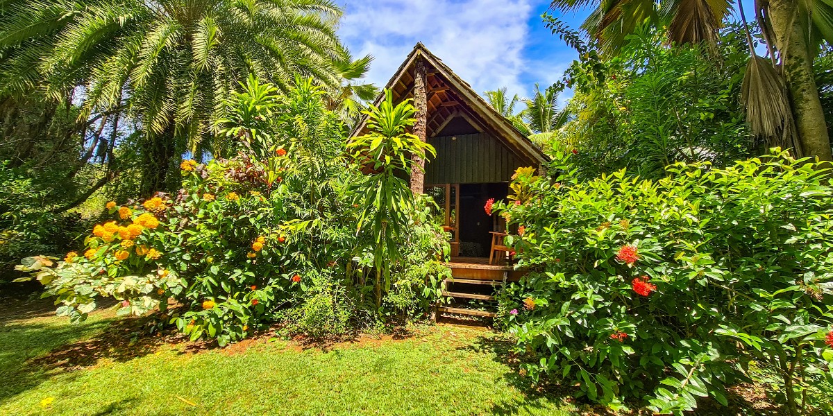 CookIslands's tweet photo. Discover Atiu, where nature reigns supreme making it a wonder for the nature-lover to explore 😍
Link here for more ⇉ https://t.co/rQi5BioBn0
#CookIslands #Atiu https://t.co/TMEyNqCflD