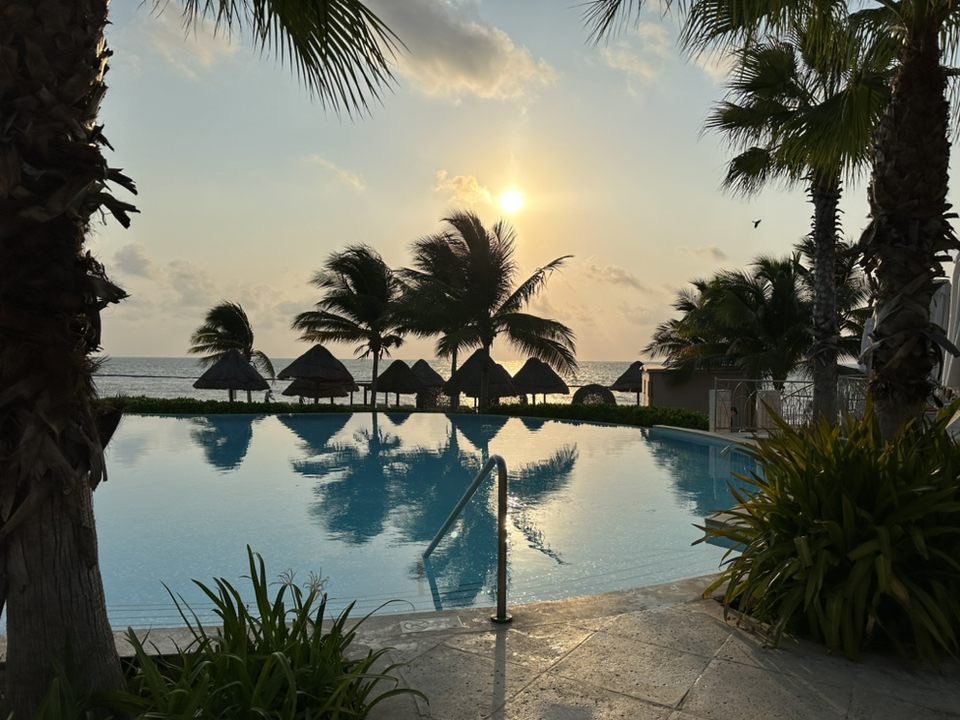 Derek Shane tweet media