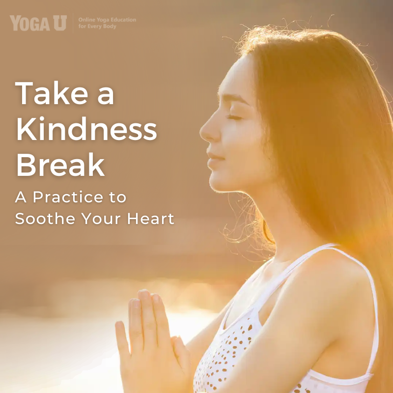 Discover your own inner sanctuary and invite kindness into your heart with a simple Metta meditation from Charlotte Bell that you can practice anywhere.

l8r.it/Th30

#yogahealth #yogaforstress #yogaforanxiety #mentalhealthbreak #mindfulness #meditate #yogaclass