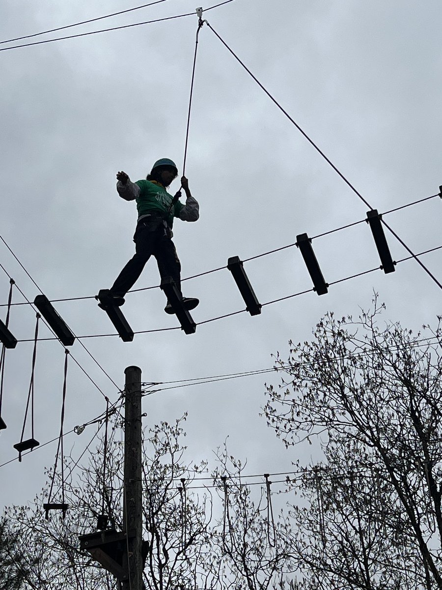 St. Benedict TCDSB tweet media