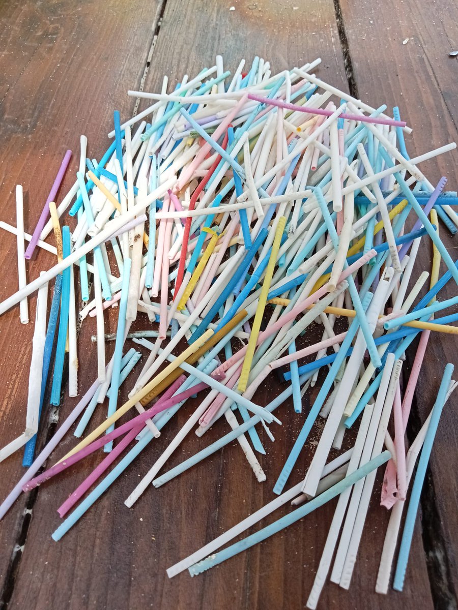 Today, during a beach #cleaning of our home surf spot (area used by many #marine #species of different taxa), I decided to count the number of #plastic cotton swab on a sample area. The heartbreaking result was 352 in ~30 m².  What are we doing to our seas😶? #pollution #Sardinia